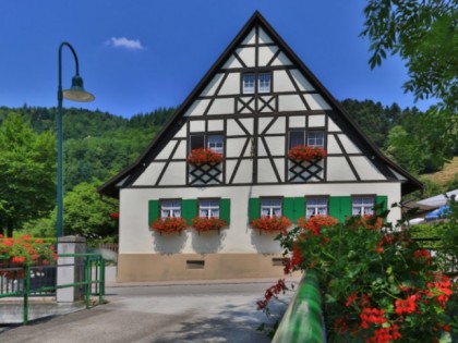 照片: Wirtshaus Zur Sonne